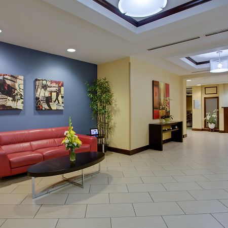 Holiday Inn Express Hotel Raleigh Southwest By Ihg Exterior photo